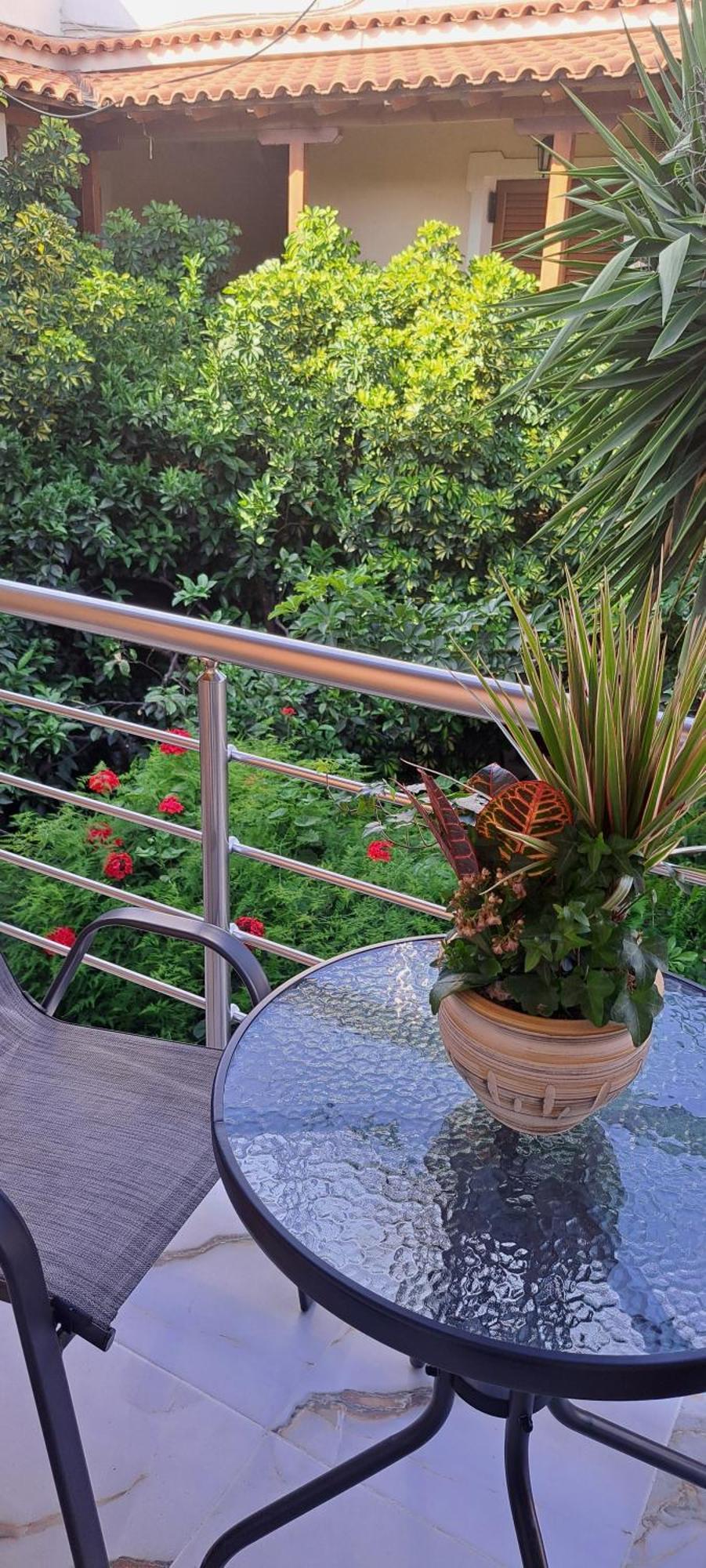 Studios Nopi-Zoi مدينة سكياثوس المظهر الخارجي الصورة